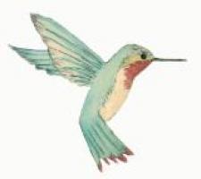 491ecb8e8ed4d83a7a10f513da392620